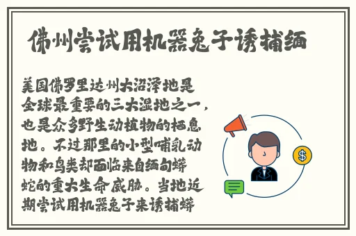西杏视频在线免费观看入口